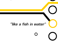 fish in water?